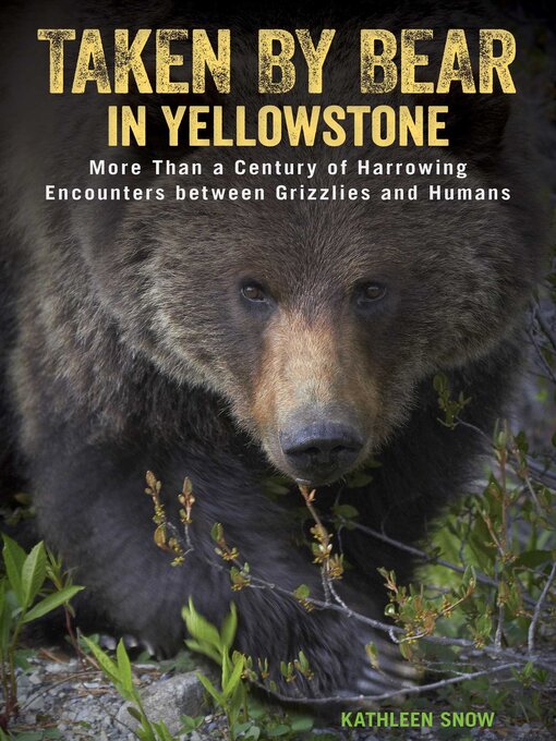 Title details for Taken by Bear in Yellowstone by Kathleen Snow - Available